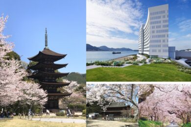 【広島駅新幹線口発着】2025,12月OPEN リゾナーレ下関に泊まる 山口さくらめぐり 徳佐八幡宮、瑠璃光寺、長府功山寺の桜1